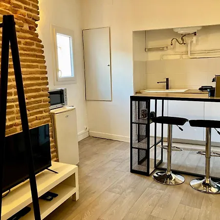 Charming Quiet Capitole Apartment *