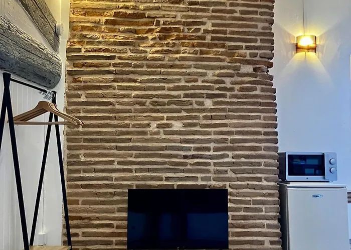 Charming Quiet Capitole Apartment Toulouse