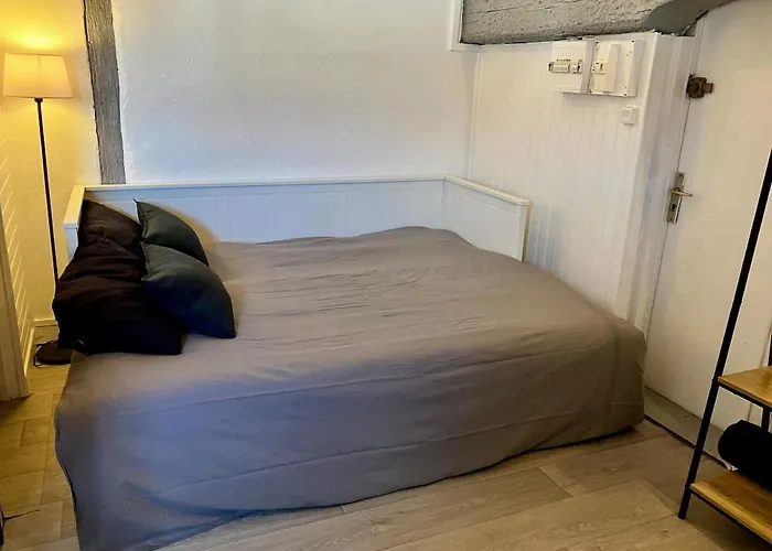 Apartment Charming Quiet Capitole Toulouse