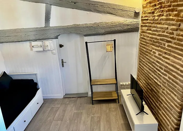 Appartement Charming Quiet Capitole *